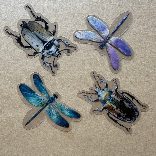 Transparent Insects stickers 3